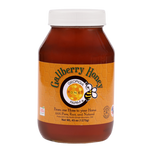 Gallberry Honey 45oz