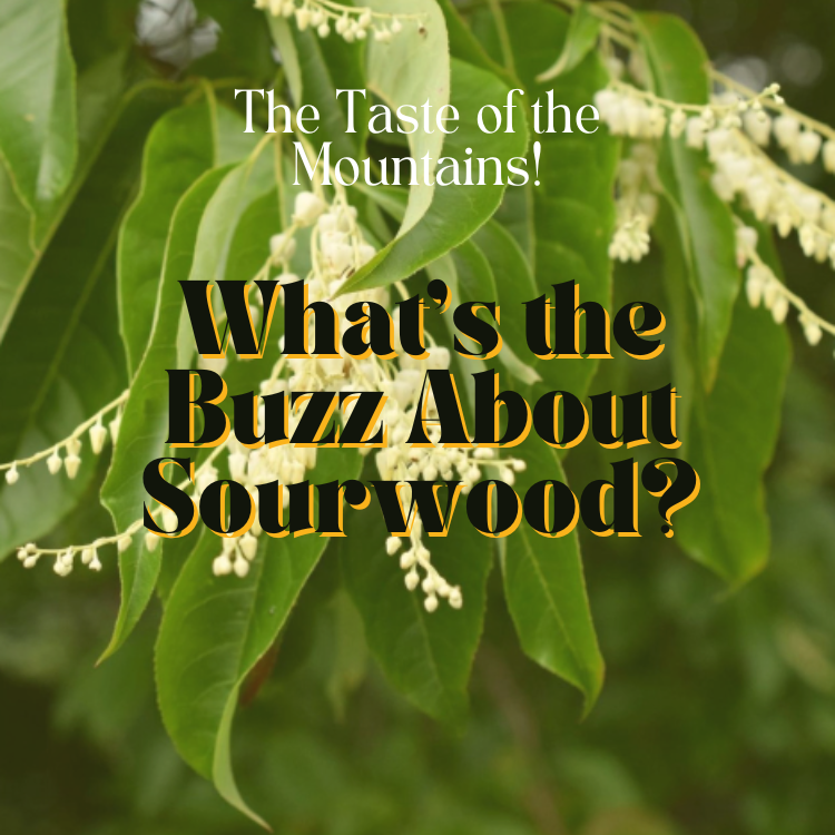 Sourwood Honey - The Taste of the Mountains!