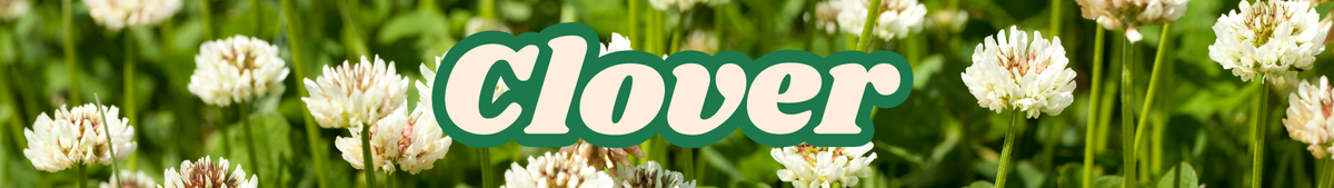 Clover