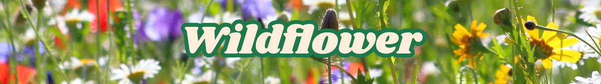 Wildflower